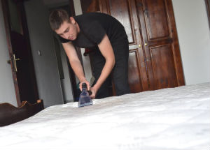 Mattress Cleaner Chiswick